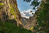 Die Schlucht Velika Paklenica im Nationalpark Paklenica, Kroatien, Europa 