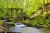 Die Karlstalschlucht im Pfälzerwald mit Moosalbe und Pavillion im Frühling, Trippstadt, Rheinland-Pfalz