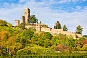 Die Wachtenburg im Herbst, Wachenheim an der Weinstraße, Rheinland-Pfalz, Deutschland