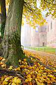  The Limburg monastery ruins in autumn, Bad Dürkheim, Rhineland-Palatinate, Germany 