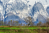 Frühlingstag in Norditalien nahe dem Gardasee, Italien, Europa