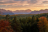 Blick von der Aidlinger Höhe auf die Zugspitze im Herbst, Bayern, Deutschland