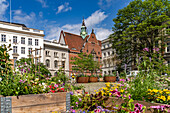 Blumenkästen am Geibelplatz und die Ernestinenschule in der Hansestadt Lübeck, Schleswig-Holstein, Deutschland 