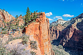  View from Scout Lookout on Angels Landing Trail, Zion National Park, Utah, USA, United States 