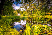 Der Albrechtsbergteich in Dresden im Sommer, Dresden, Sachsen, Deutschland