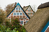 Half-timbered houses with thatched roof, Steinkirchen, near Jork, Altes Land, Lower Saxony, Germany 