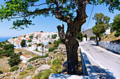  Mountain road and mountain village Nikiá on the island of Nissyros (Nisyros, Nissiros, Nisiros) in Greece 