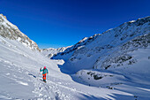  Woman on ski tour ascends through the Loigistal to the Pyhrner Kampl, Totes Gebirge, Upper Austria, Austria 