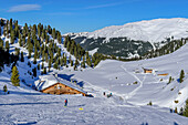  Ski tourer descends to the Neue Bamberger Hütte, Neue Bamberger Hütte, Kelchsau, Kitzbühel Alps, Tyrol, Austria 