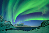 Polarlichter über dem Mefjord, Mefjordvaer, Senja, Troms, Norwegen