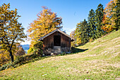 Heustadel am Wiesenhang vor herbstlichem Wald, Sonnenberg, Ammergauer Alpen, Oberbayern, Bayern, Deutschland