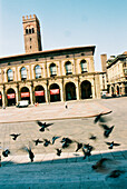 Altstadt von Bologna mit Tauben, Emilia Romagna, Italien