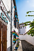  Granada Albaicin, colorful street scene, with narrow streets, province of Granada Spain 