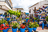  Iznajar, a white village full of flowers, on the reservoir, in the olive belt of the province of Cordoba, Spain 