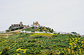 Weißes Dorf mit Burg und Kathedrale, umgeben von Olivenhainen, Olvera, Provinz Cadiz, Andalusien, Spanien