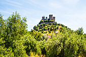  Almodovar del Rio, famous medieval castle surrounded by olive groves, Cordoba province, Spain 