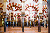  Cordoba, Mezquita Catedral, 179 x 134 meters, with 856 columns, made of jaspice, marble, onyx, porphyry, connected by red and white horseshoe arches, completed by the Moors in 796, Cordoba Province, Spain 