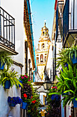  Cordoba, the much visited, famous flower alley, Calle de Flores, just behind the Mesquita, in the Juderia, province of Cordoba, Spain 