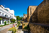  Cordoba, old city wall of the Juderia, dating from before the first millennium, province of Cordoba Spain 