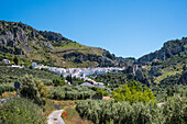  Zuheros, famous, much visited white village, in the mountain with caves, in the province of Cordoba, Spain 