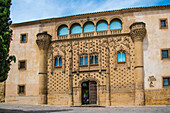 Straße in der Altstadt mit der alten Bibliothek und Universität, Palacio de Jabalquinto, Baeza, Provinz Jaen, Andalusien, Spanien