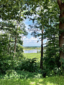 Blick durch Bäume auf die Elbe bei Hitzacker, Niedersachsen, Deutschland