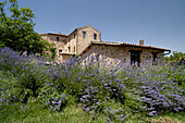  Agriturismo AGRIART in Gualdo  