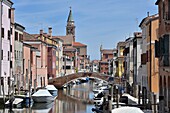  in Chioggia, Venice Lagoon, Veneto, Northern Italy 