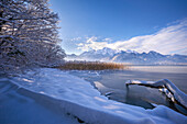  Winter morning at Kochelsee, Upper Bavaria, Bavaria, Germany, Europe 