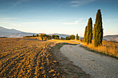 Herbstmorgen in der Nähe von Pienza, Gladiator Foto Spot, Toskana, Italien, Europa