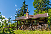 Einsam gelegene Jagdhütte bei Vorderriß, Isarwinkel, Oberbayern, Bayern, Deutschland