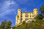  At Hohenschwangau Castle, Füssen, Allgäu, Bavaria, Germany 
