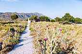 Areal der Burg von Antimachia (Kastro) mit Gebäuderesten der alten Siedlung von Antimachia auf der Insel Kos in Griechenland