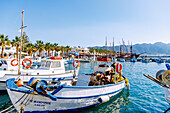 Fischerboote im Hafen in Kardamena auf der Insel Kos in Griechenland