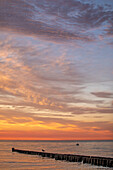 Sonnenuntergang auf dem Darß, Ahrenshoop, Ostsee, Fischland, Darß, Zingst, Mecklenburg-Vorpommern, Landesteil Vorpommern, Deutschland, Europa