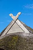  Thatched roof house in Ahrenshoop, Ahrenshoop, Baltic Sea, Fischland, Darß, Zingst, Vorpommern-Rügen district, Mecklenburg-Vorpommern, Western Pomerania region, Germany, Europe 