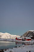  Winter in the Trömso region, Tromvik, typical traditional house with mountains in the twilight 