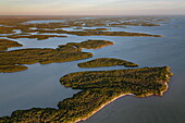  Mangroven (Avicennia sp) Inseln, Ten Thousand Islands, Everglades Nationalpark, Florida 