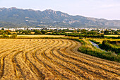  Mountain landscape of Dikeos with the town of Zipari and fields in the foreground on the island of Kos in Greece 