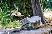  Column foundations on the ruins of the ancient Agora in Kos Town on the island of Kos in Greece 