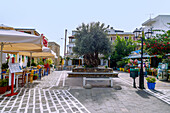  Platia Diagoras with taverns in Kos Town on the island of Kos in Greece 