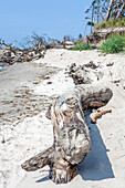 Weststrand, Darß, Fischland, Ostsee, Ahrenshoop, Prerow, Mecklenburg-Vorpommern, Deutschland, Europa