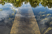 Flooded boardwalk in the Mastbos, a small forest located on the edge of Breda, the Netherlands.