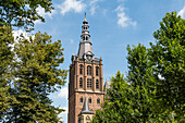 Die St.-Johannis-Kathedrale im niederländischen 's-Hertogenbosch, im Sommer durch üppig grüne Bäume gesehen, Niederlande