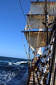 Mit dem Segelschiff auf der Nordsee