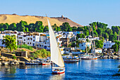  View of the Nile, here the Nile section near Aswan, Egypt, with typical boats and buildings 