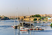  Aichten of the Nile and surroundings near Aswan, Egypt 