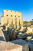 Der Luxor-Tempel ist ein großer altägyptischer Tempelkomplex am Ostufer des Nil in Luxor, Ägypten