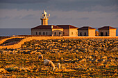 Punta Nati cape lighthouse, Ciutadella, Menorca, Balearic Islands, Spain