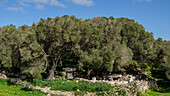 Torrellafuda, Taula shrine-enclosure,  Talayotic town, Ciutadella, Menorca, Balearic Islands, Spain